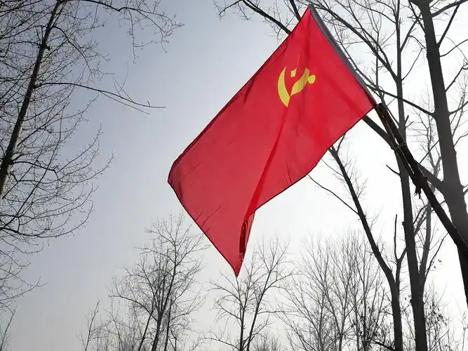 一面面党旗吹响疫情防控"集结号" --吕店镇广大党员挺身战"疫"