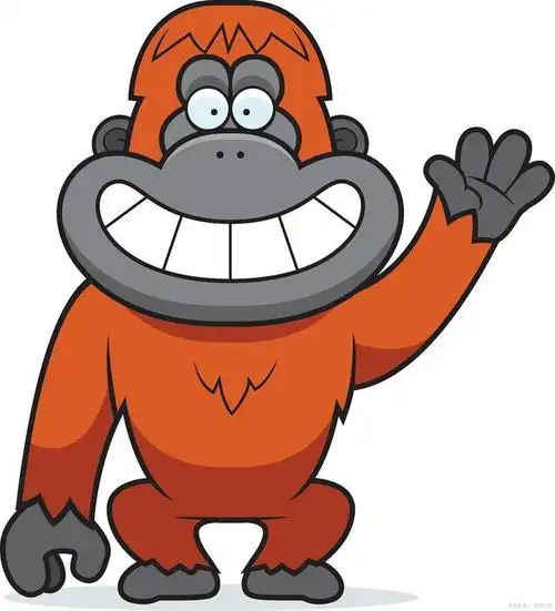 揭秘黑猩猩的指甲:演化,修剪和生活的奥秘