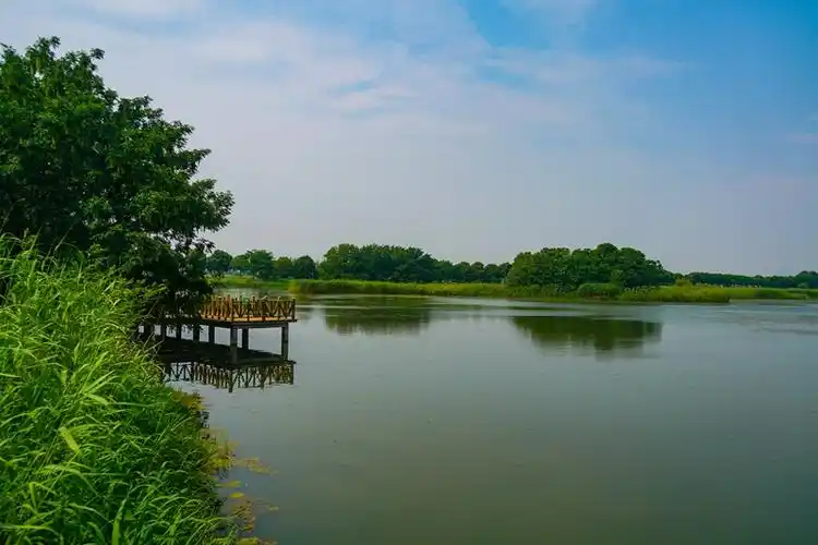 欢天喜地游溧阳长荡湖湿地公园