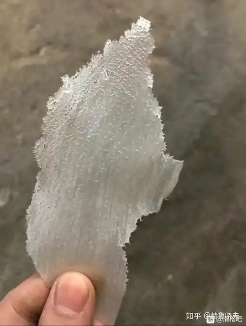 见过的最大头皮屑多大? - 知乎