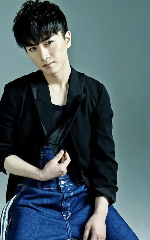 陈晓黑色帅气写真图片