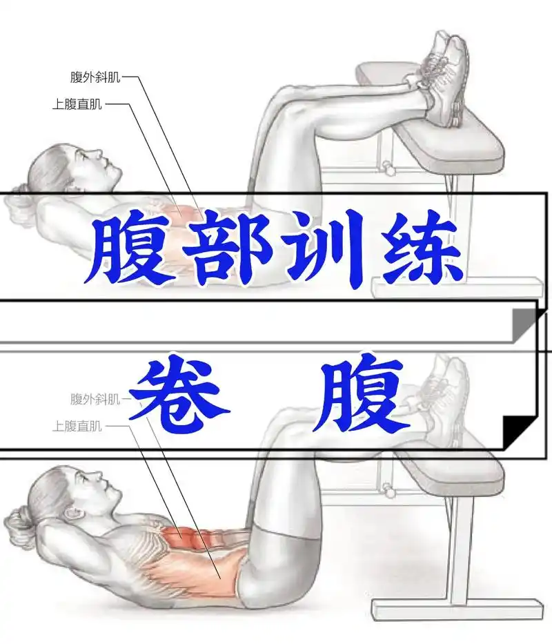 有效的腹部健身项目应该涵盖所有的腹部部位.例如上腹部, - 抖音