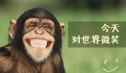 逗人开心的笑话大全,解忧神器,一分钟笑掉大牙(开心一刻笑话大全一