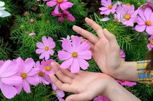 换个拍照的角度,给自己一点灵感新的壁纸和屏保,就这样诞生喜欢拍照的