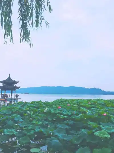 西湖 西湖十景 杭州 - 堆糖,美图壁纸兴趣社区