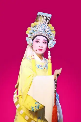 林雪亚:知名徐派小生,师承国家一级演员,梅花奖得主张小君.