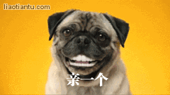 狗头亲一个 - 表情制作,在线表情包合成 - 在线装逼,照片装饰,表情包