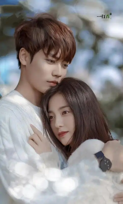 分享一张粉丝修的图 林彦俊 万鹏