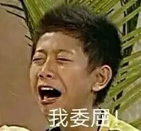 我委屈!( 家有儿女刘星表情包 )_刘星_家有_儿女_委屈表情