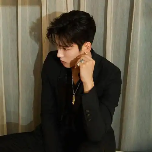 【微信头像】王子异