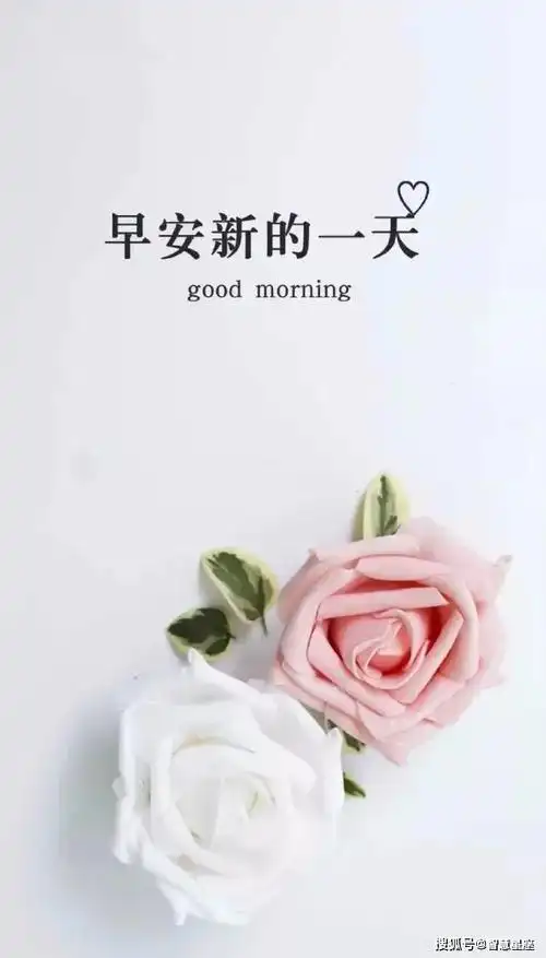 5月27日周四最美早安问候语动态图片,最新漂亮早上好表情动态图