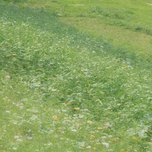 朋友圈封面背景图