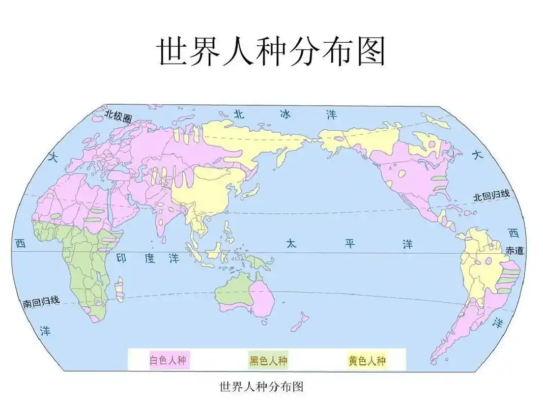 世界人种分布图ppt