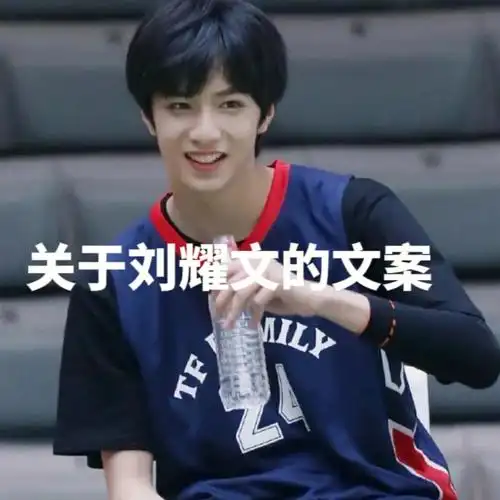 关于刘耀文的文案