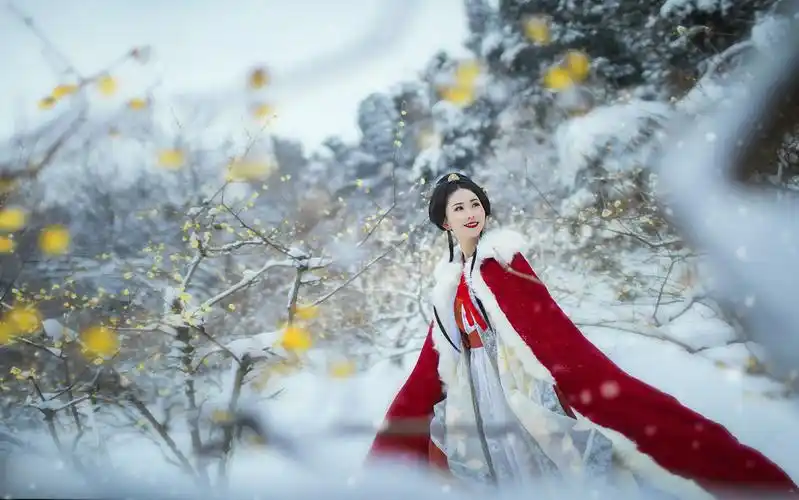 雪中腊梅配一美人