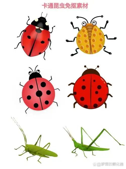 卡通昆虫 免抠素材