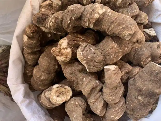 重楼用法用量重楼功能主治重楼药用价值