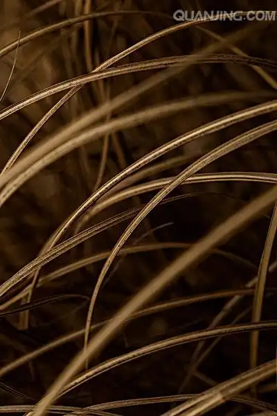 400_600竖版 竖屏