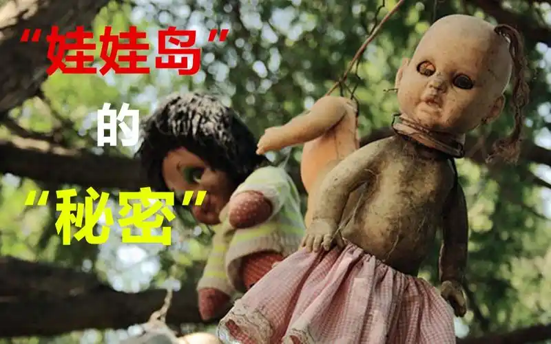 世上最诡异的娃娃岛,树上挂满"残疾娃娃",背后隐藏着啥秘密?
