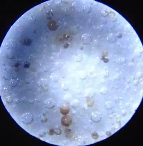 古瓷死亡气泡之我见