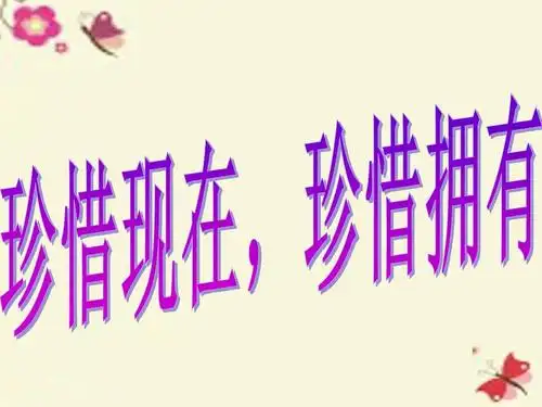 珍惜时间班会《珍惜现在,珍惜拥有》ppt课件