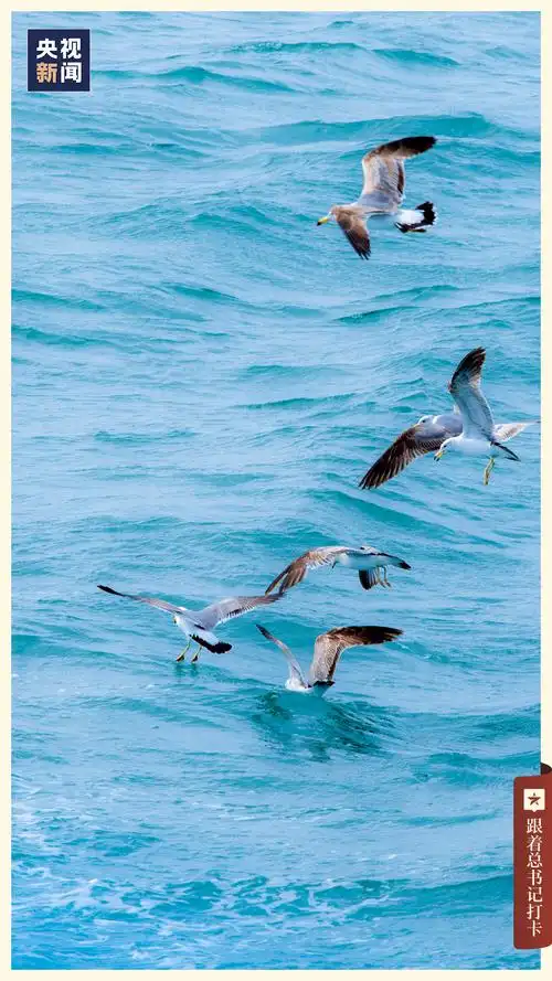 06 烟台东营的自然资源丰富,石油,天然气,盐卤等资源富集,也是我国