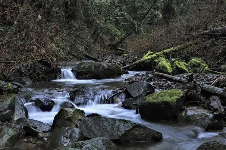 森林的小溪摄影一小揩