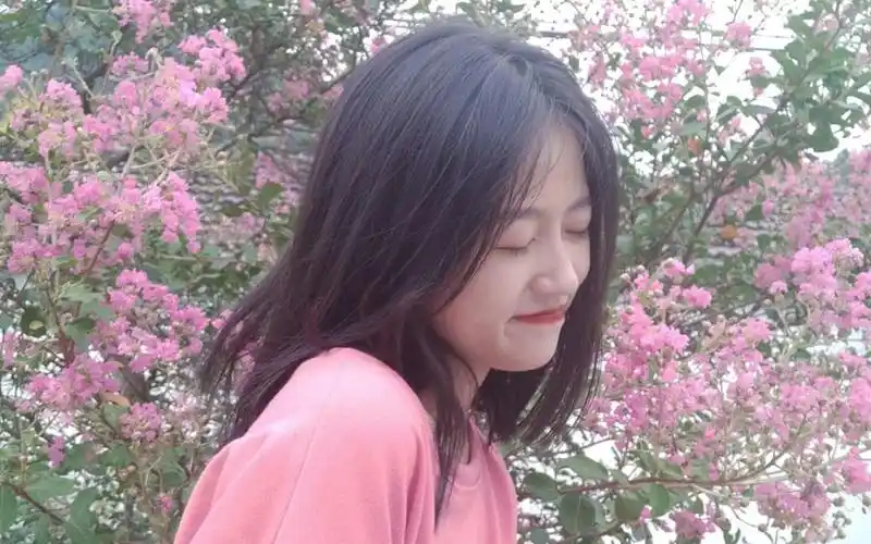 任万万仙女【第二期】