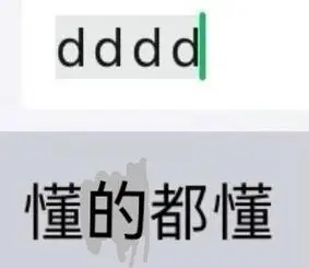 dddd懂得都懂