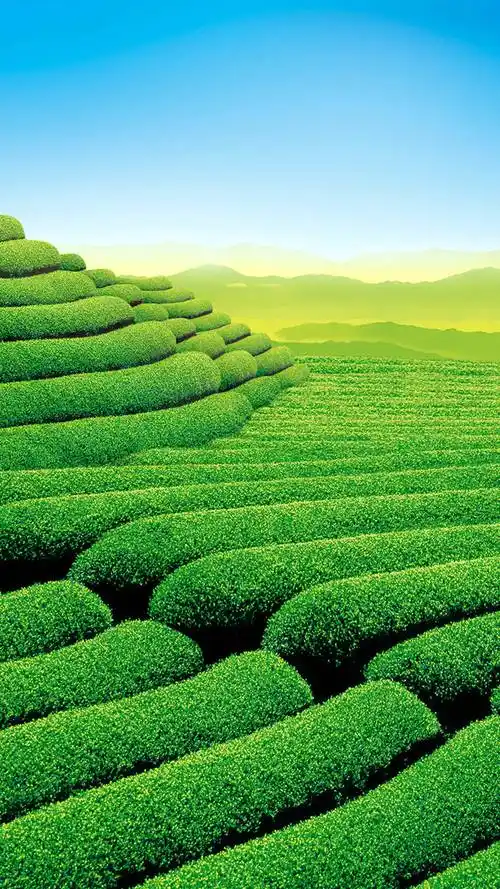 1080_1920竖版 竖屏