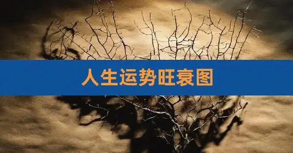 人生运势旺衰图