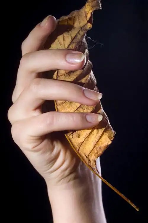 女的手,女手控股微妙主题在手中的照片