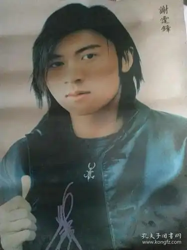 谢霆锋(张贴过)谢霆锋早期电影海报.54*40厘米