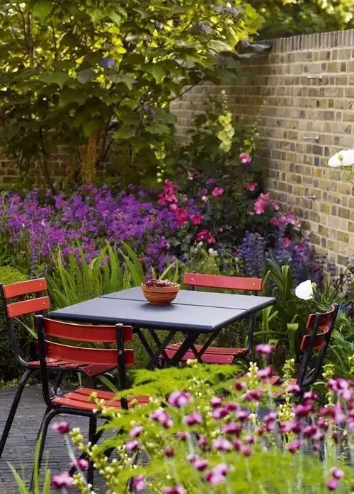 院子|心灵花园|小日子_新浪新闻