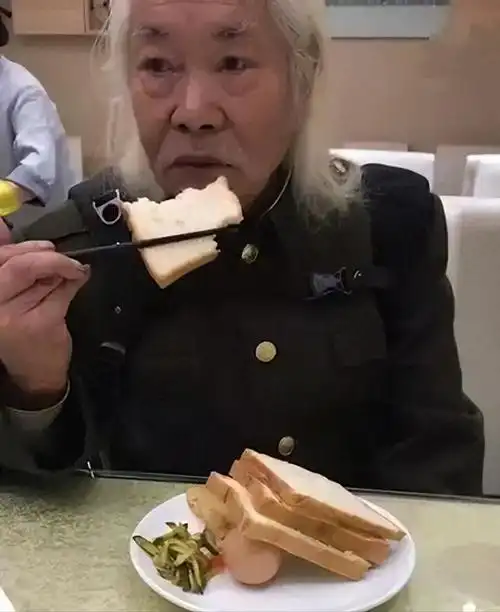 2017年,94岁持剑老人带34万现金在湖北流浪,引来民警调查