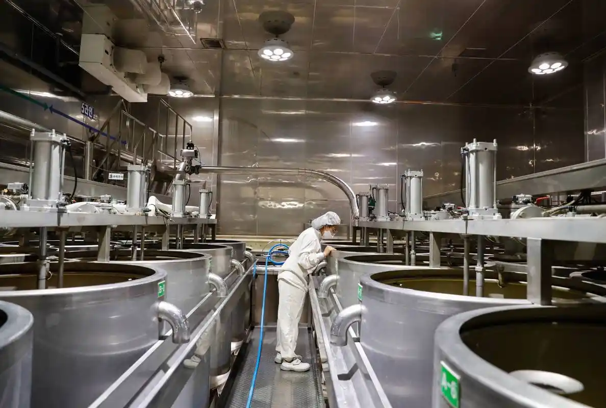 探访进博会参展商:韩国绿色食品企业圃美多的豆腐工厂