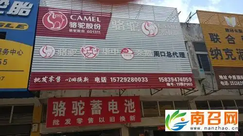 骆驼蓄电池周口市总代理店