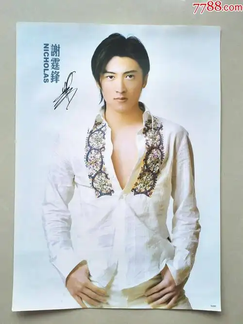 "谢霆锋"明星年画(63)