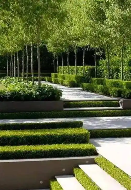 六大庭院风格下的植物配置!看看你都了解多少~_乔灌木_自然_女贞