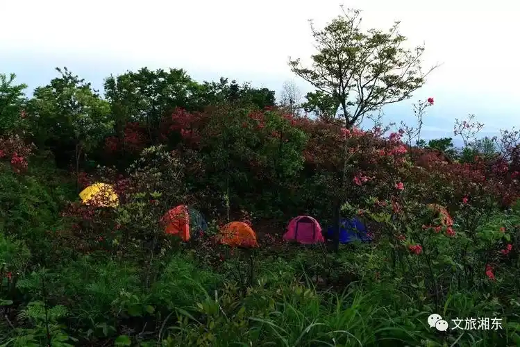 你在我眼中是最美游客镜头里的广寒寨四八门