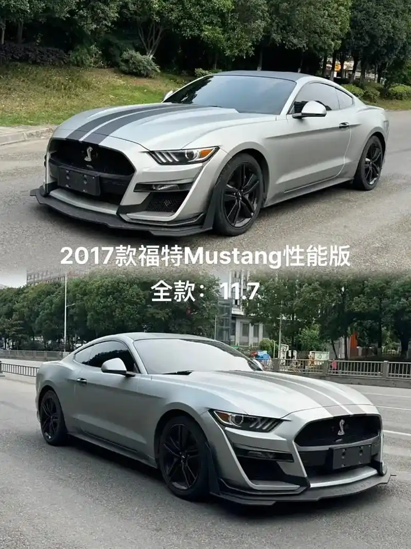 包过户提档,支持检测,支持分期 #野马mustang #野马黑武士 #野马gt5