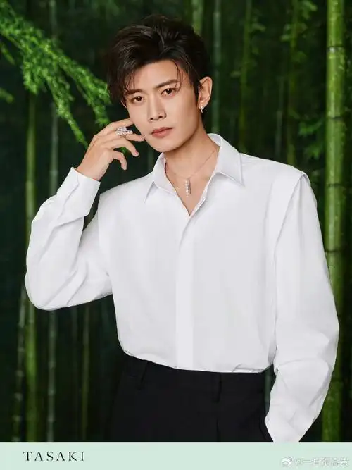 男明星珠宝大片