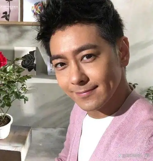 如果要说谁是娱乐圈永恒的男神,林志颖绝对是其中之一.