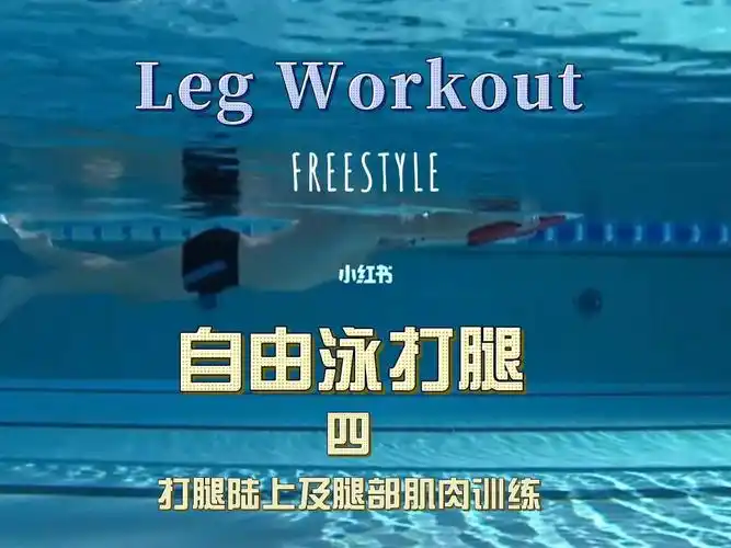自由泳打腿4陆上练习及专项腿部肌肉练习