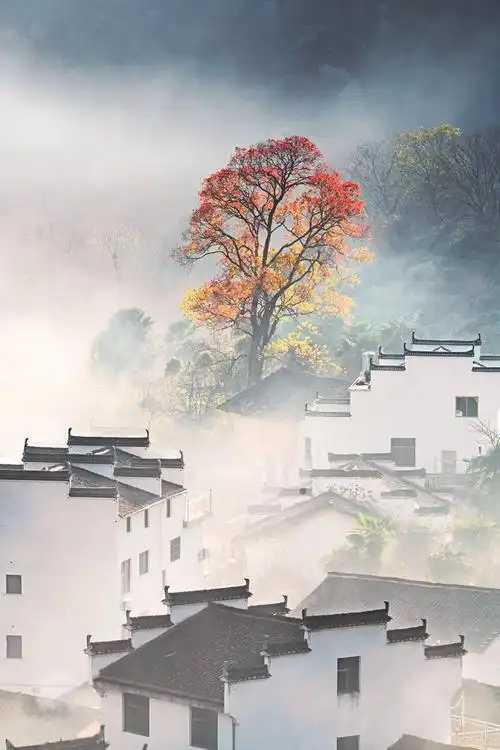 徽式民居是徽派建筑的精华,也是中华民居的重要代表.