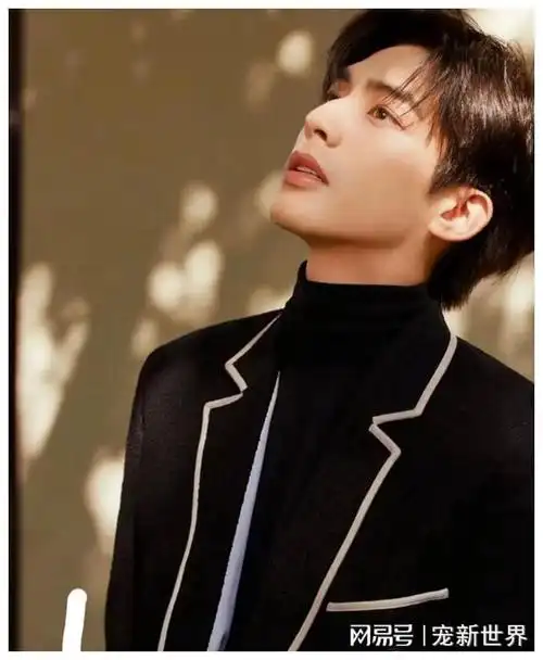 中国12大美男,杨洋第9,刘学义第4,肖战第3,冠军实至名归|宋威龙