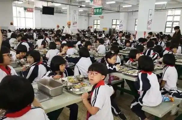 最近,湖南怀化的舞水小学传出了一起食堂食物异物事件.