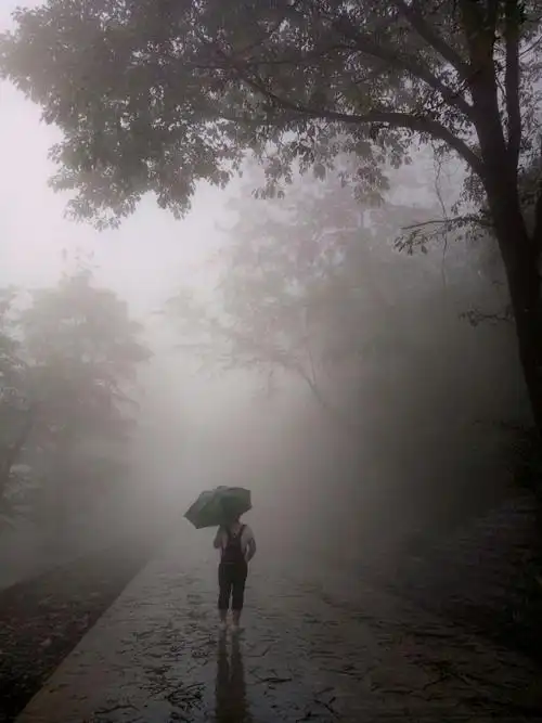 雨中漫步美女峰