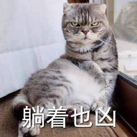 搞笑喵咪吐舌凶死你表情包没有人可以比它更凶