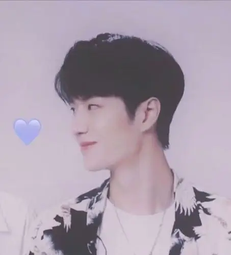 肖战王一博 头像/情头